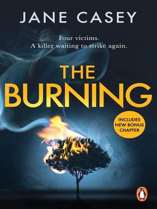 Cover image for The Burning